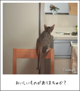 20009_0926_05.gif