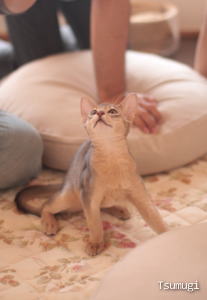 2009_0926_03.jpg