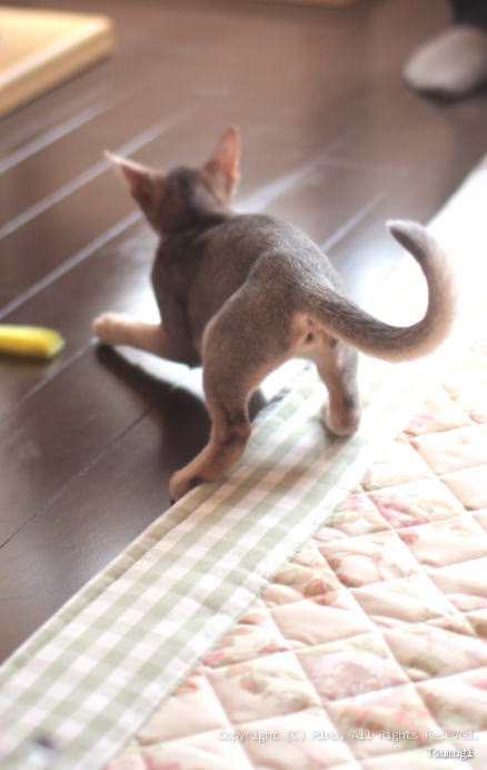 2009_0926_04.jpg