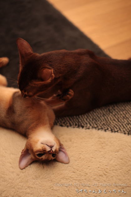 2009_1018_01.jpg