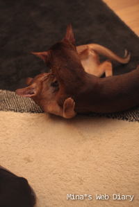 2009_1018_02.jpg