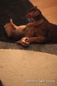 2009_1018_03.jpg