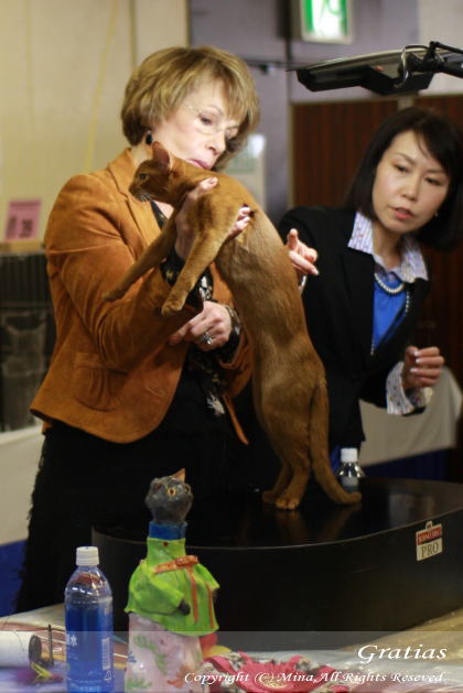 2011_0224_3.jpg