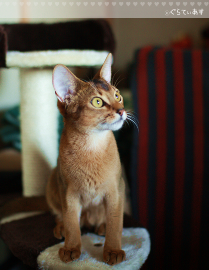20121022.jpg