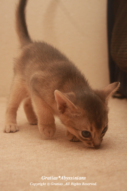 20130825.jpg