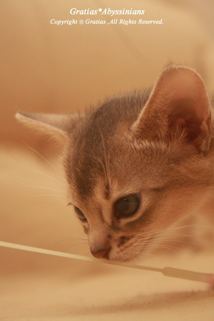 201308252.jpg