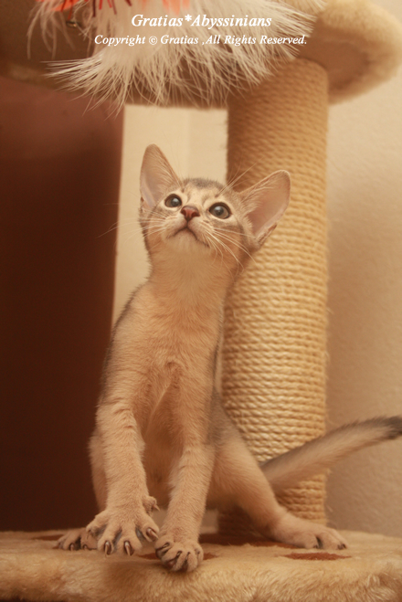 20130918.jpg