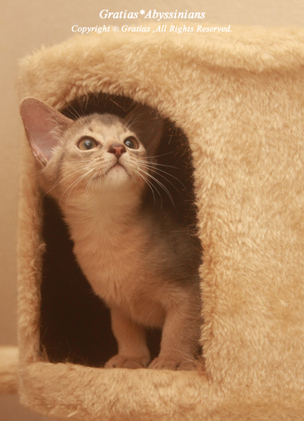 201309291.jpg
