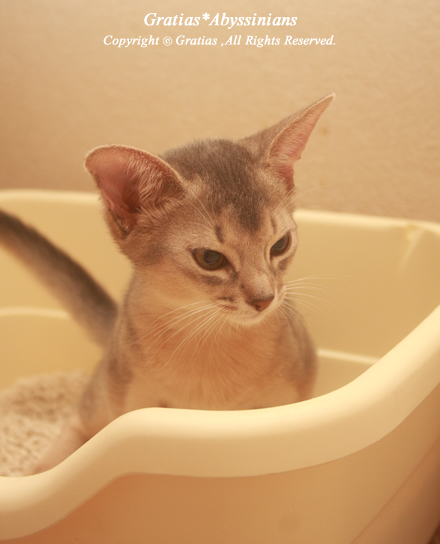 201309292.jpg