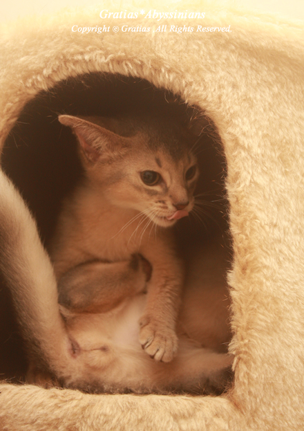 201309293.jpg