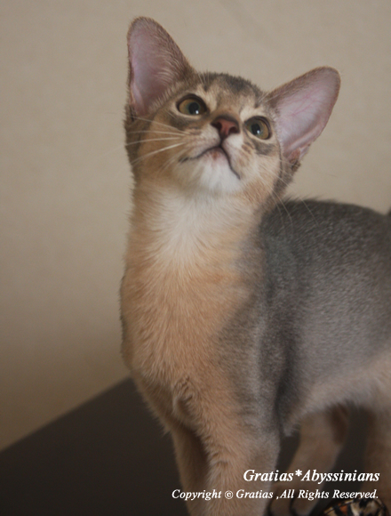 201310121.jpg