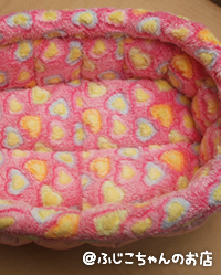 2013_10273.jpg
