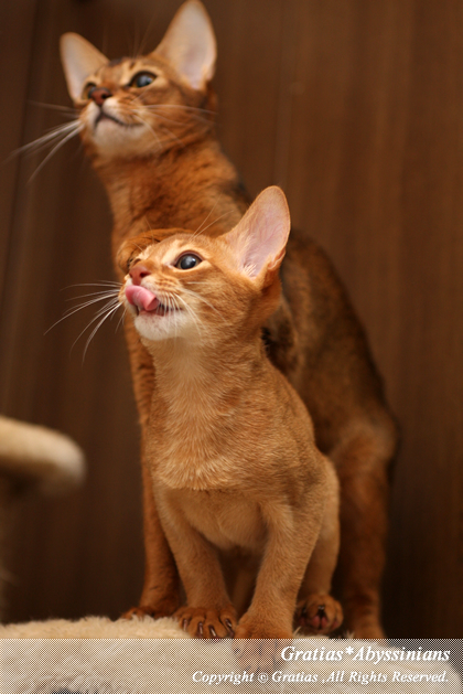 201402142.jpg