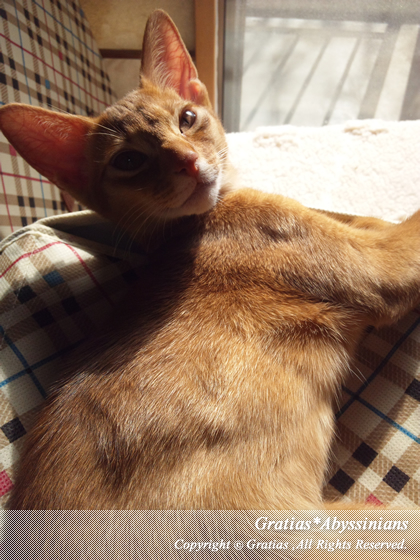 201402273.jpg