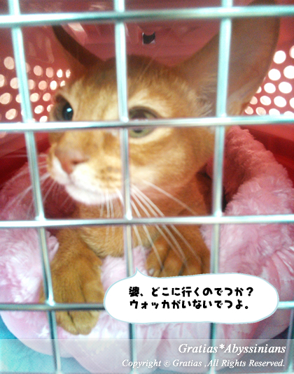 201403033.jpg