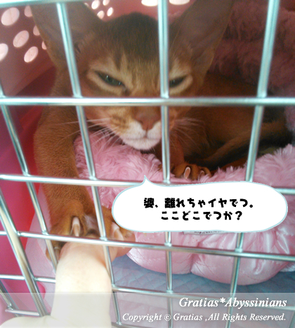 201403034.jpg