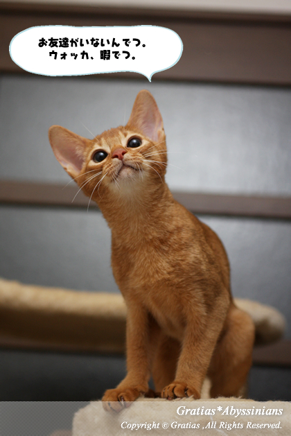 201403041.jpg