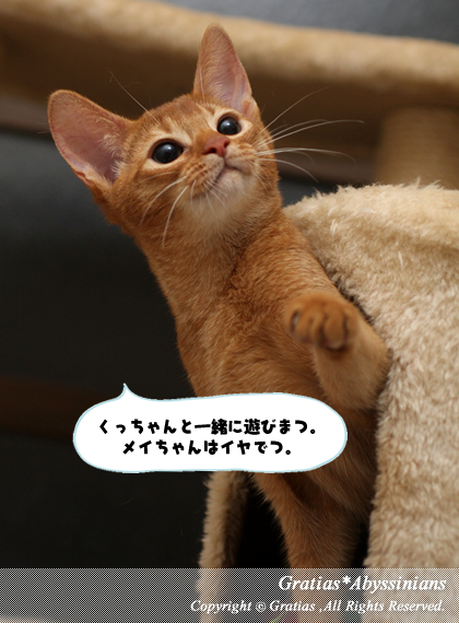 201403042.jpg