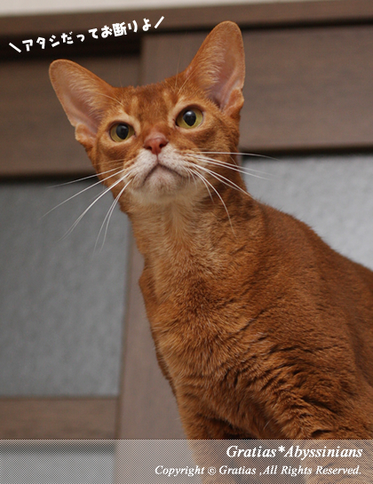201403043.jpg