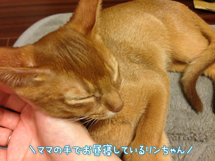 201403071.jpg