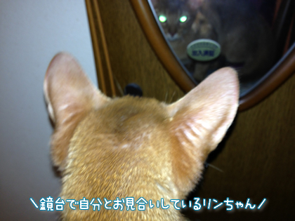 201403073.jpg