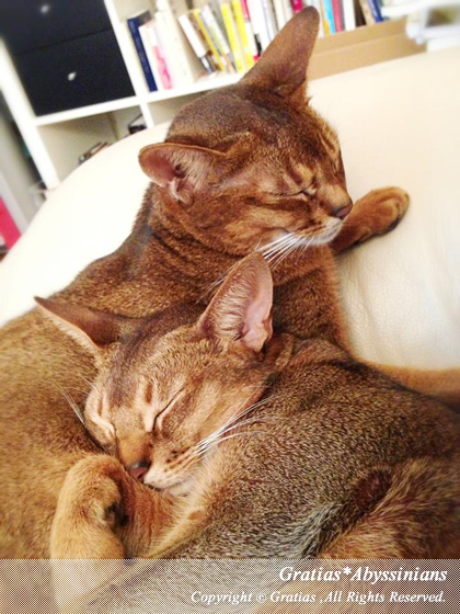 201403152.jpg