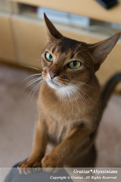 201403281.jpg