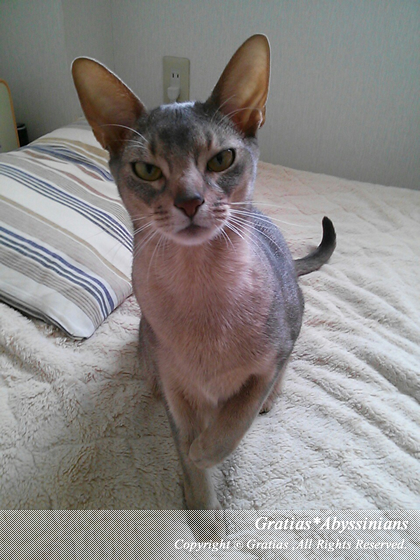 201403284.jpg