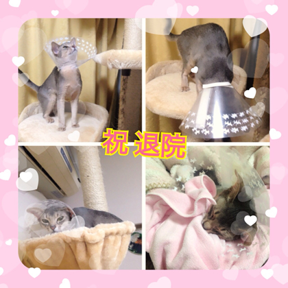 201403285.jpg