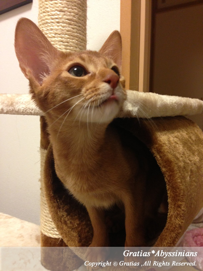 201403288.jpg