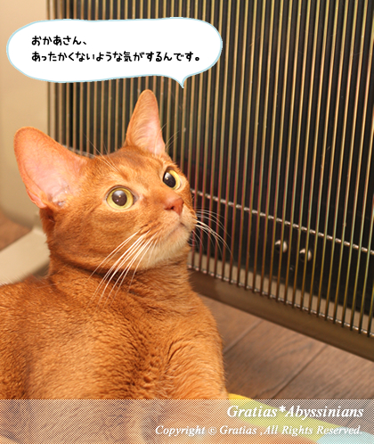 201404081.jpg