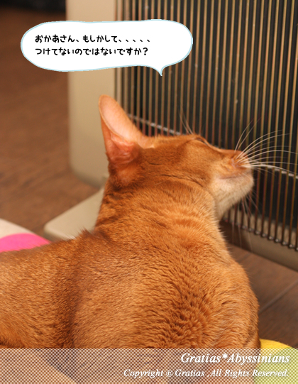 201404082.jpg
