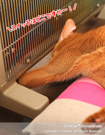 201404083.jpg