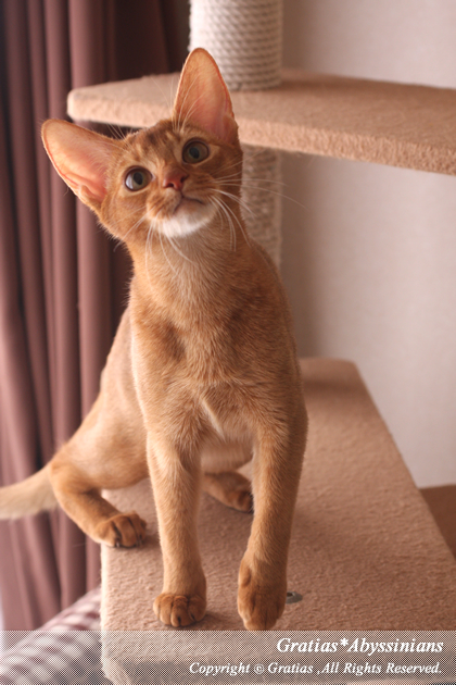 201404091.jpg