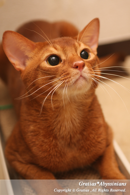201404121.jpg