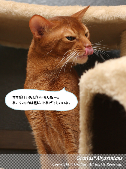 201404122.jpg