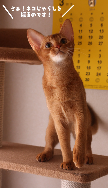 201404151.jpg