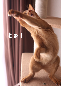 201404152.jpg