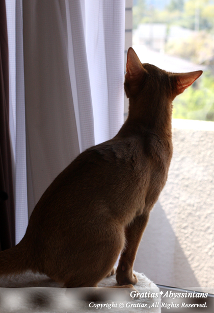 201404271.jpg
