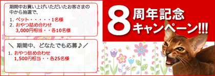201404293.jpg