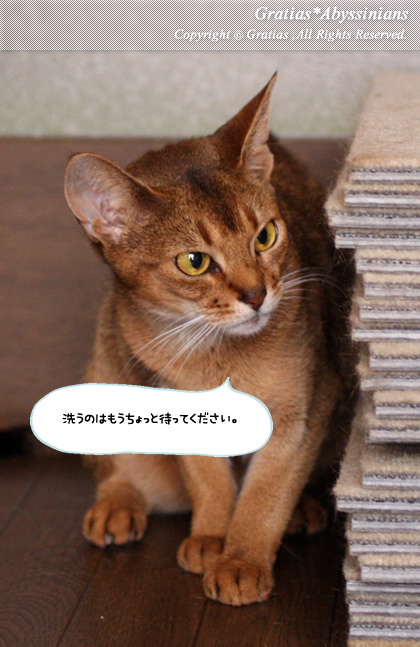 20140429_1.jpg