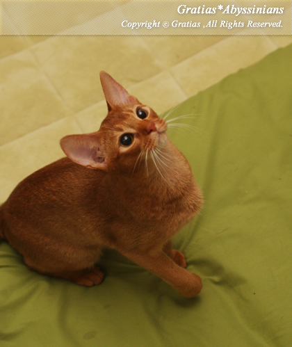 201405011.jpg