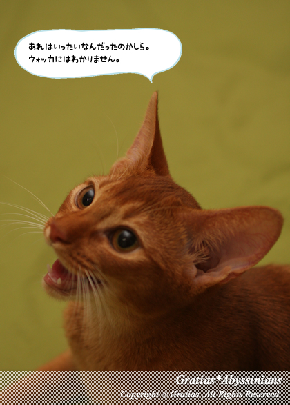 201405012.jpg