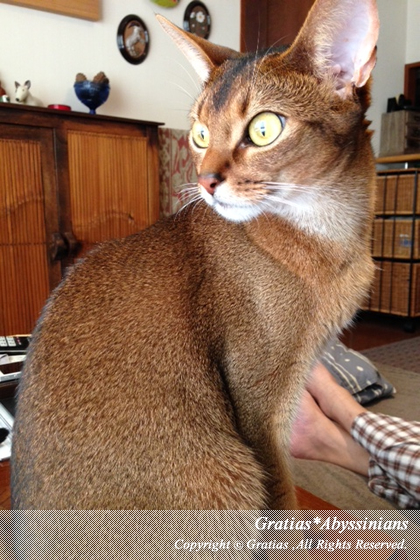 2014050401.jpg