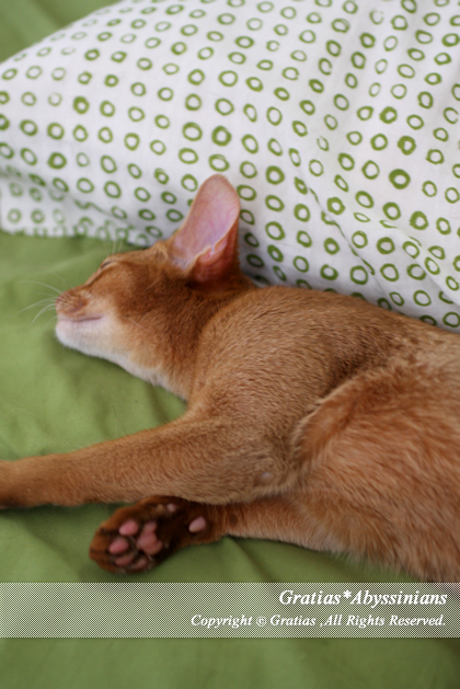 201405121.jpg
