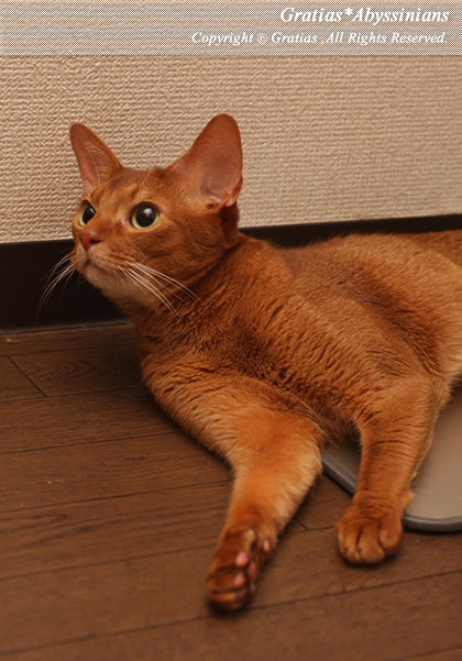 201405252.jpg