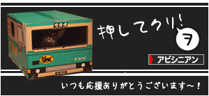 いつもありがとうございます〜!