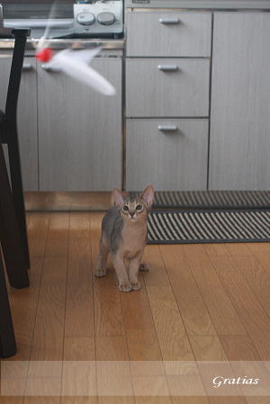 2011_0620_04.jpg